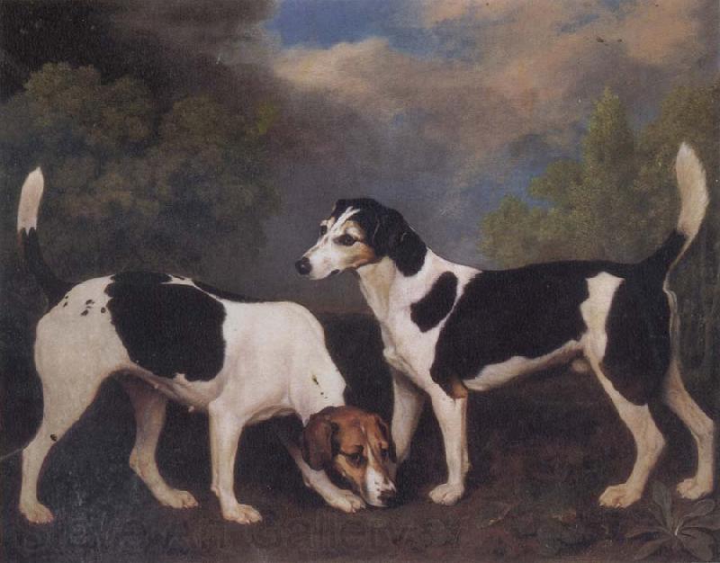 George Stubbs A Couple of Foxhounds Spain oil painting art